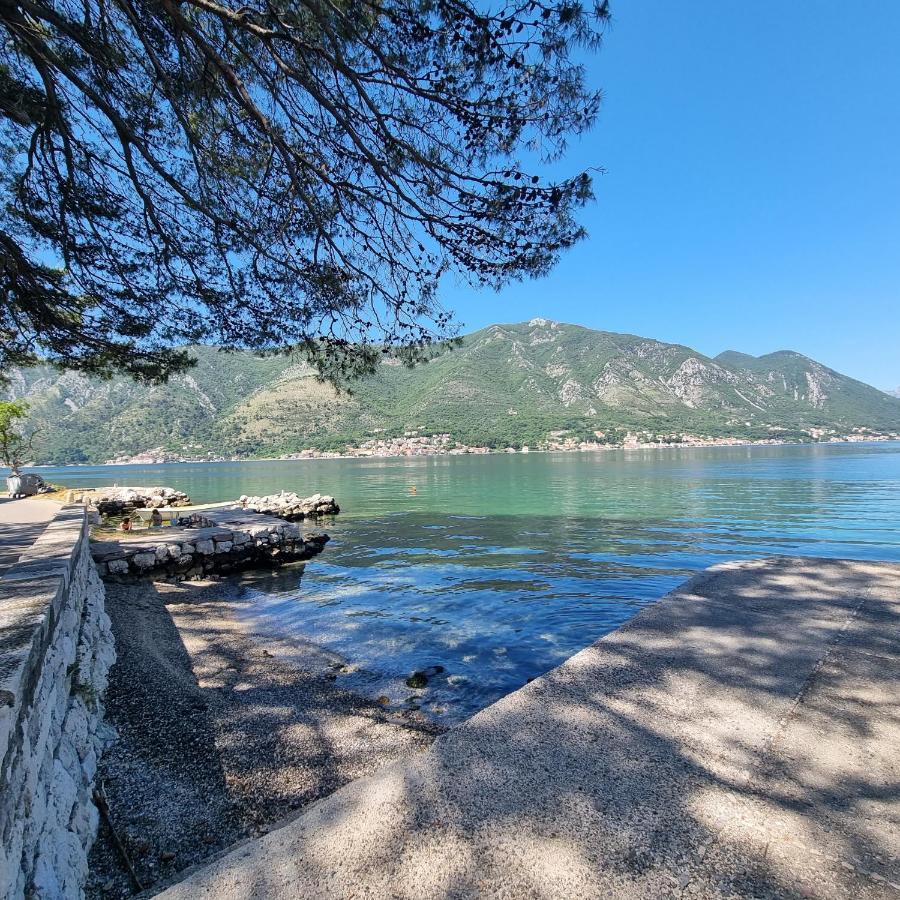 Lovely Apartment Jovan 3,With A View Of The Bay And Free Wi-Fi Kotor Exteriör bild
